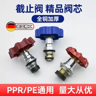 ppr截止阀阀芯全铜加厚pe升降式水阀开关闸阀4分20 25 32 40 50图片