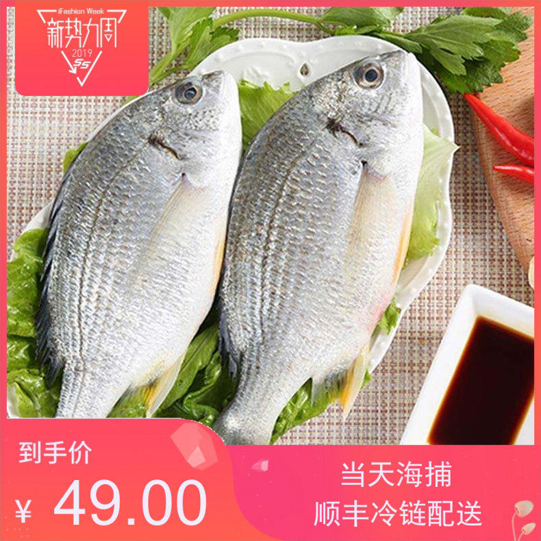 Sparuslatus Huang Li Fish 500g That day Guangdong Province 2 Shunfengin the Aquatic meat/Fresh fruits and vegetables/Cooked , Seafood/Aquatic/Product , Other  category - from Buy2taobao.com to provide professional Taobao agent buy service