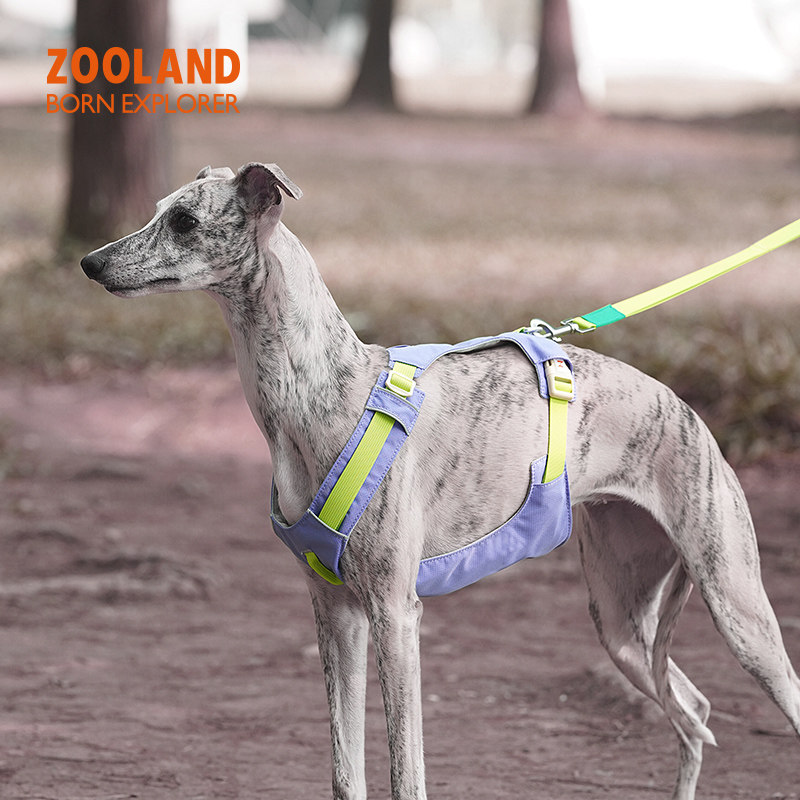 zooland狗胸背牵引绳背心式防爆冲勒脖大中小型犬柯基泰迪通用