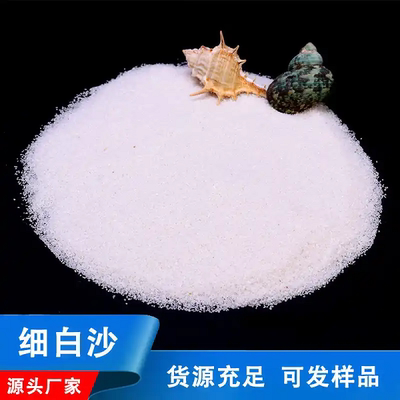 纯白石英沙天然沙造景白沙子细粒