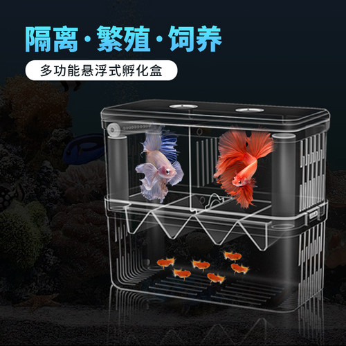 鱼苗孵化器小鱼隔离盒多功能产房