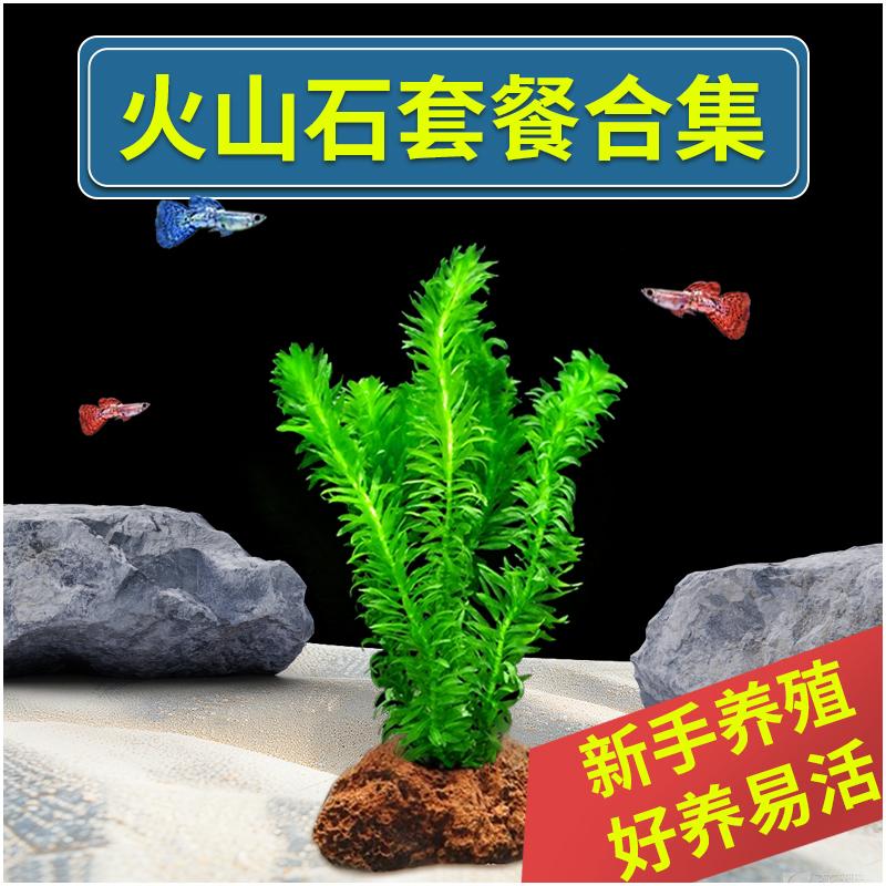 水草造景套餐植物底砂火山石鱼缸