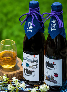 峨眉仙世外梅林青梅酒女士低度微醺果酒8度 12度750ml*1瓶装送礼