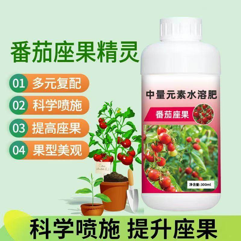 Q西红柿专用坐果灵小番茄点花药授粉喷花保花保果落果增产防裂
