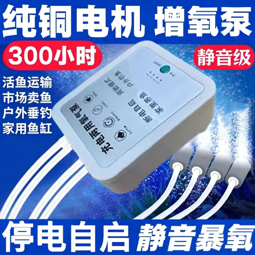 充电/电源两用式氧气泵