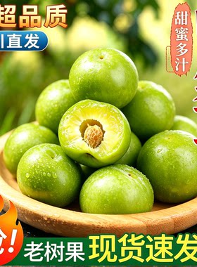 四川正宗现摘青脆脱骨李子
