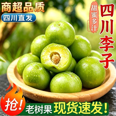四川正宗现摘青脆脱骨李子