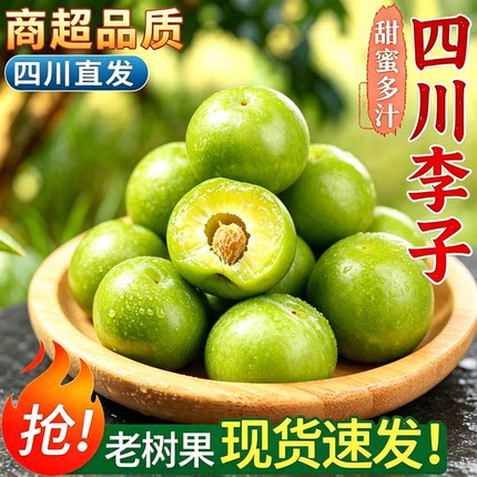 现摘四川正宗青脆脱骨李脆李清脆李子新鲜应季茵红李半边红汶川5