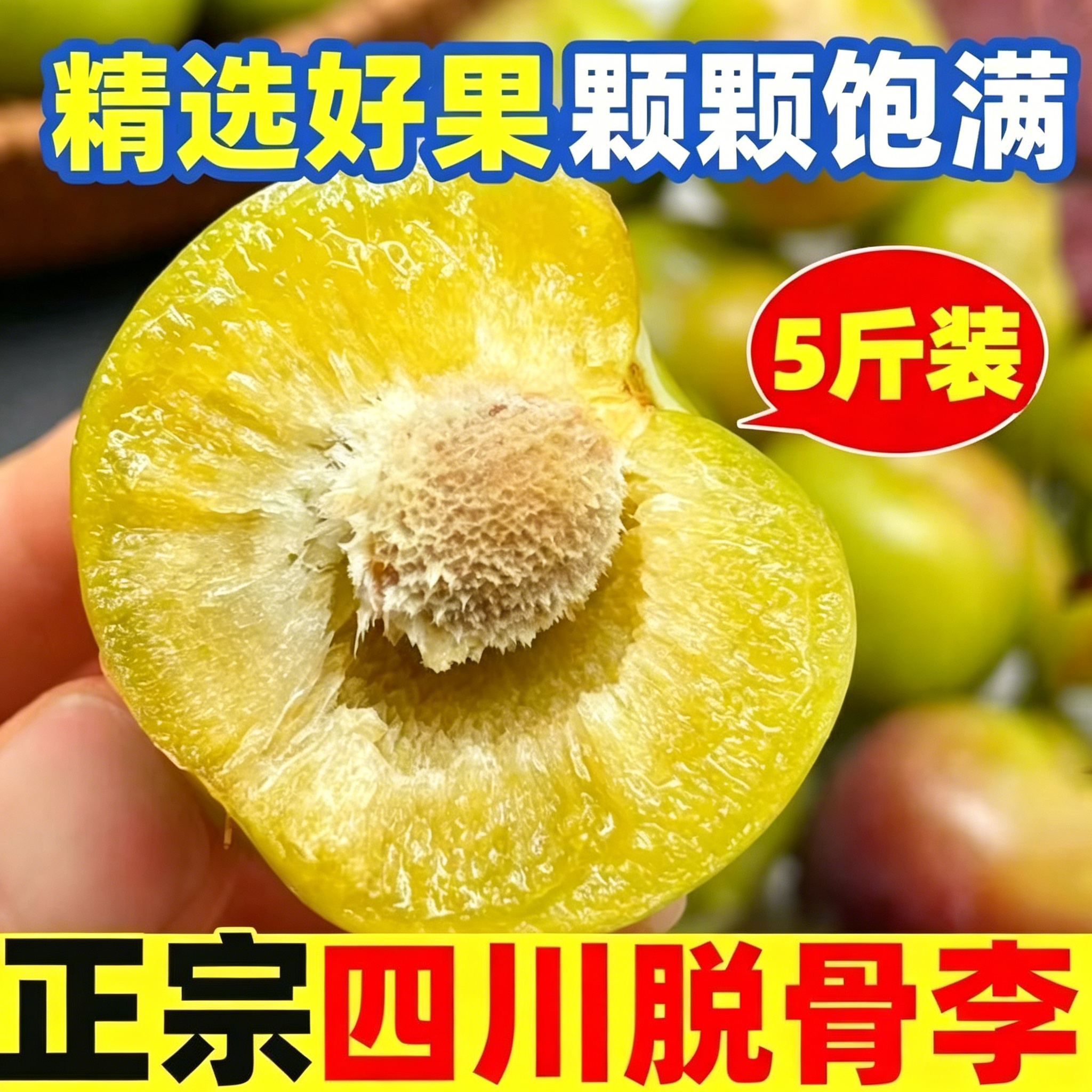 现摘四川正宗青脆脱骨李脆李清脆李子新鲜应季茵红李半边红汶川5