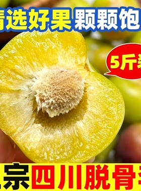 正宗四川现摘脱骨青脆李大果5斤