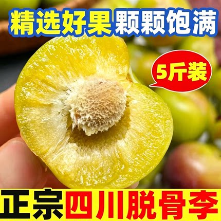 现摘四川正宗青脆脱骨李脆李清脆李子新鲜应季茵红李半边红汶川5