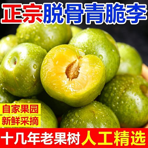 现摘四川汶川青脆李五月脆凤凰李子脱骨新鲜水果蜂糖孕妇半边茵红