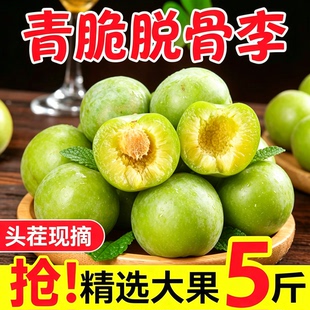 四川脱骨青脆李子土李子新鲜水果当季茵红半边红李蜂糖汶川5斤