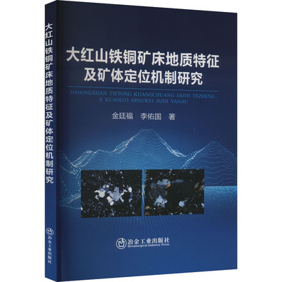 大红山铁铜矿床地质特征及矿体定位机制研究 金廷福,李佑国 著 矿业技术专业科技 新华书店正版图书籍 冶金工业出版社