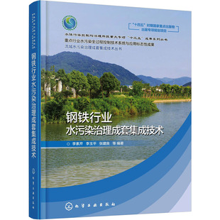 编 环境科学专业科技 新华书店正版 钢铁行业水污染治理成套集成技术 化学工业出版 等 图书籍 社 李素芹