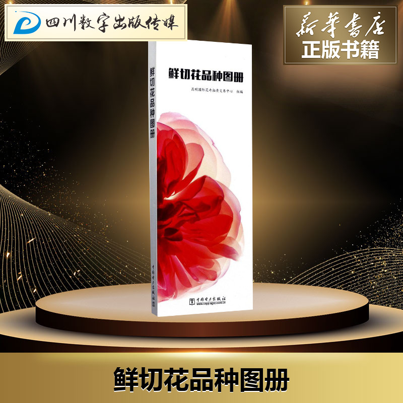 新华书店正版 生活休闲