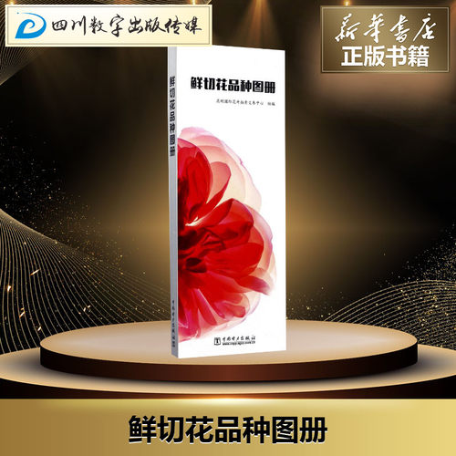 新华书店正版 生活休闲