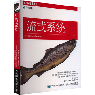 流式系统 (美)泰勒·阿基道,(美)斯拉瓦·切尔尼亚克,(美)鲁文·拉克斯 著 陈守元 译 程序设计（新）专业科技