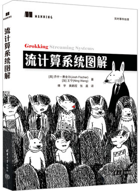 流计算系统图解 (美)乔什·费舍尔,(加)王宁 著 傅宇,黄鹏程,张晨 译 计算机理论和方法（新）专业科技 新华书店正版图书籍