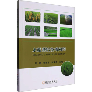 水稻栽培技术问答 周玮,徐福志,赵荣伟 编 农业基础科学专业科技 新华书店正版图书籍 哈尔滨出版社