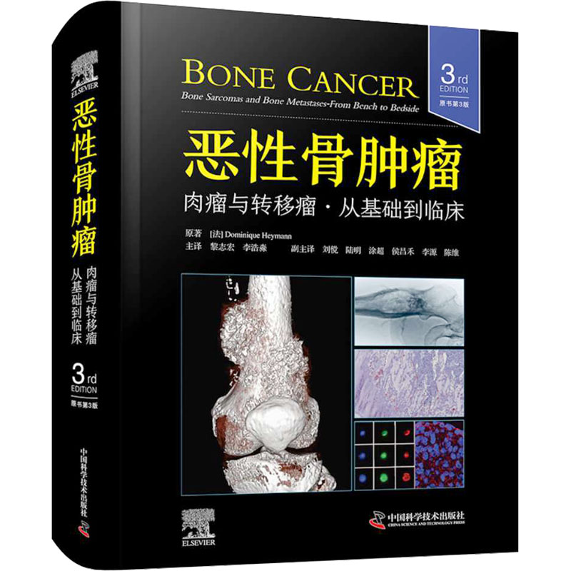 新华书店正版 内科