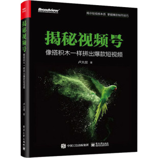 新 像搭积木一样拼出爆款 图形图像 揭秘视频号 专业科技 电子工业出版 卢大叔 图书籍 短视频 社 著 新华书店正版 多媒体