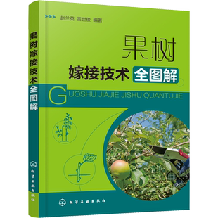 果树嫁接技术全图解 赵兰英,雷世俊 编 园艺专业科技 新华书店正版图书籍 化学工业出版社