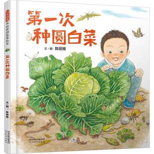 第一次种圆白菜 陈丽雅 著 绘本/图画书/少儿动漫书少儿 新华书店正版图书籍 河北教育出版社