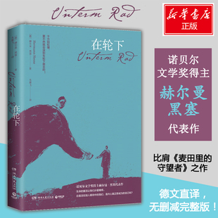 译 德 著 在轮下 外国小说文学 湖南文艺出版 Hermann 图书籍 赫尔曼·黑塞 社 Hesse 新华书店正版 朱雁飞