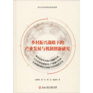 励志 社 袁建伟 浙江工商大学出版 图书籍 新华书店正版 各部门经济经管 著 等 产业发展与机制创新研究 乡村振兴战略下