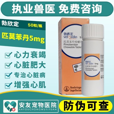 德国匹莫苯丹心脏肥大心脏病