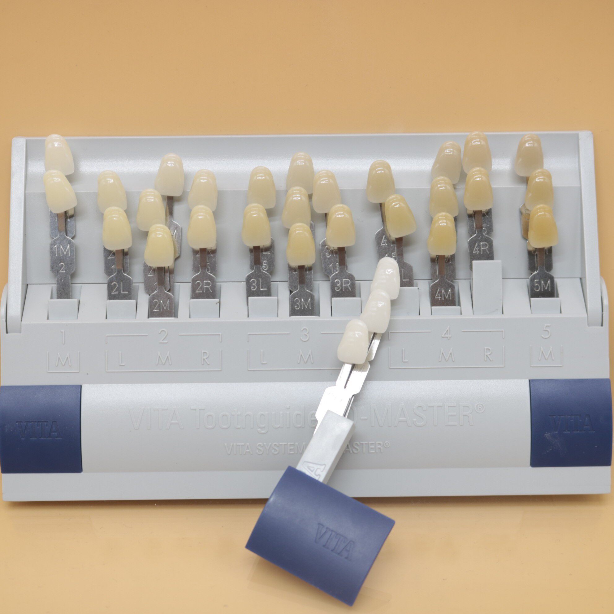 牙科材料 牙齿美白29色比色板德国维他比色板 vlta29色3d比色板
