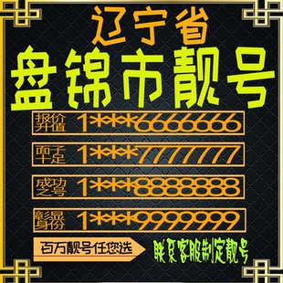 辽宁盘锦好号手机号电话卡手机卡号码定制风水号全国通用靓号选号