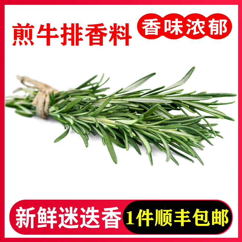 新鲜迷迭香煎牛排可食用西餐香料250g腌肉烧烤烘焙调味料装饰配菜
