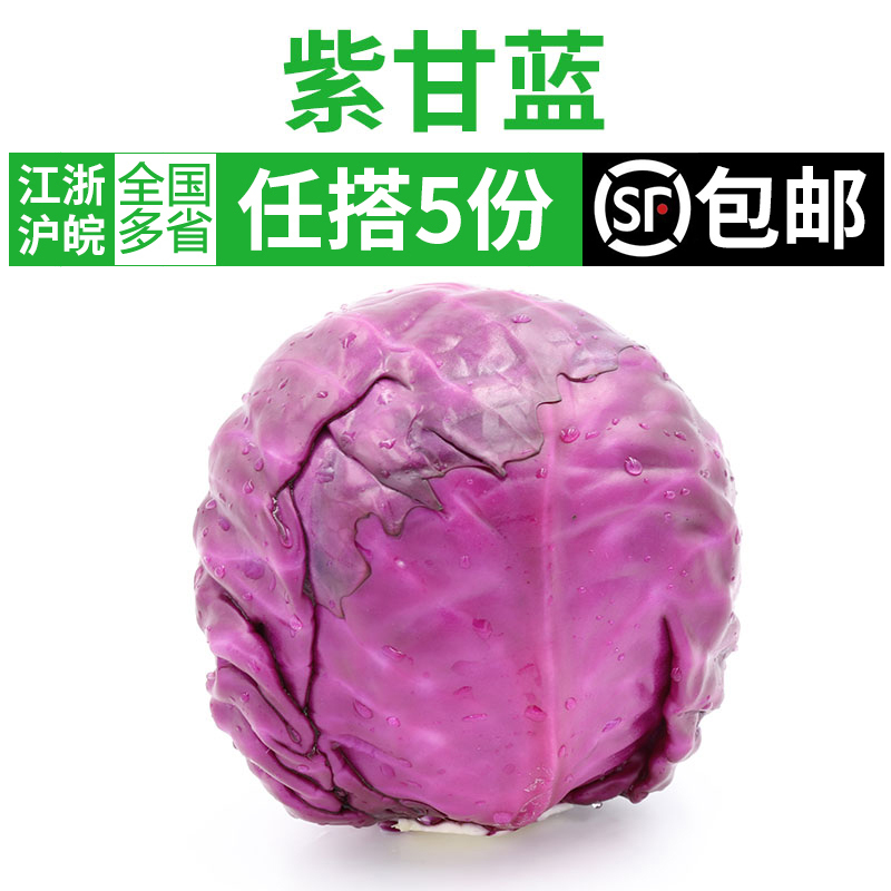 新鲜紫甘蓝650g紫包菜紫色球生菜红椰菜西餐蔬菜沙拉食材5件包邮-封面