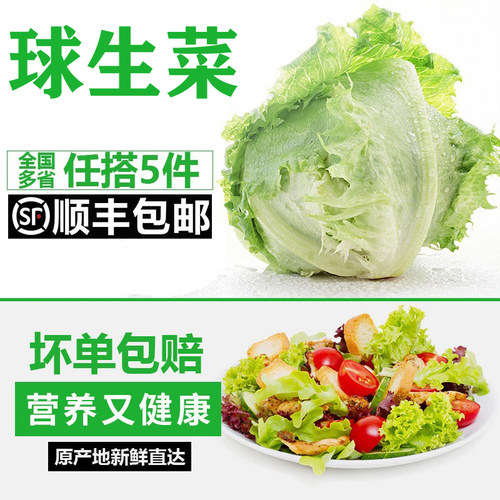 新鲜球生菜西餐汉堡沙拉蔬菜食材