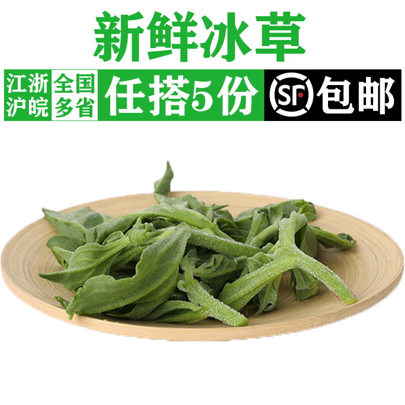 新鲜冰草生吃凉拌火锅沙拉蔬菜