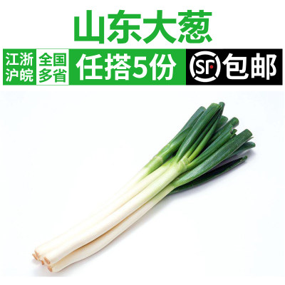 新鲜大葱500g时令农家蔬菜香料