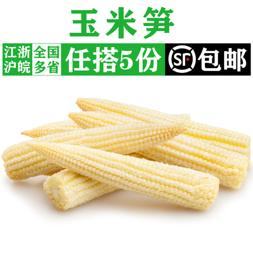 新鲜玉米笋250g 去皮迷你小玉米笋沙拉蔬菜煲汤食材蔬菜满5件包邮