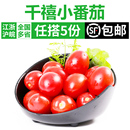 满5件 免邮 新鲜小番茄樱桃番茄水果西红柿 千禧圣女果450g 费