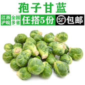 新鲜孢子甘蓝 抱子甘蓝迷你小包菜小卷心菜西餐沙拉蔬菜食材 500g