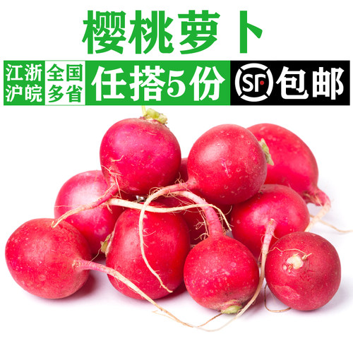 樱桃萝卜小红萝卜凉拌沙拉食材