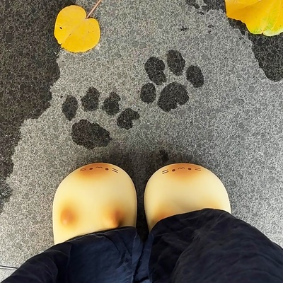 真的能踩出猫爪印！棉拖鞋