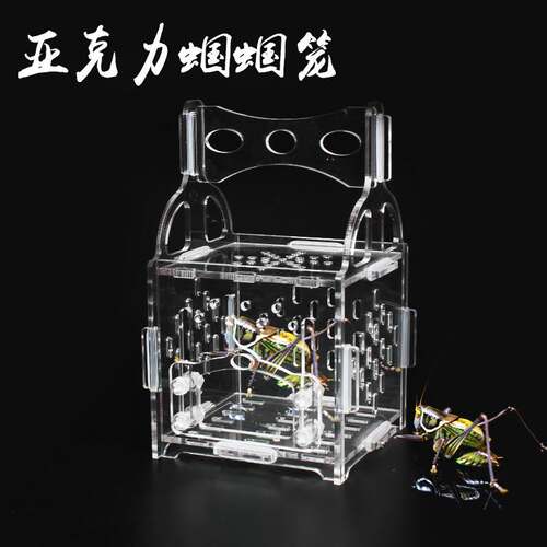 Grasshopper Cage Villa Cricket Grasshopper Cage Cricket