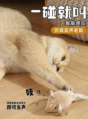 Cat Toy Self-Hi Detoxification Artifact Electric Simulation