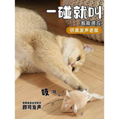 Cat Toy Self-Hi Detoxification Artifact Electric Simulation