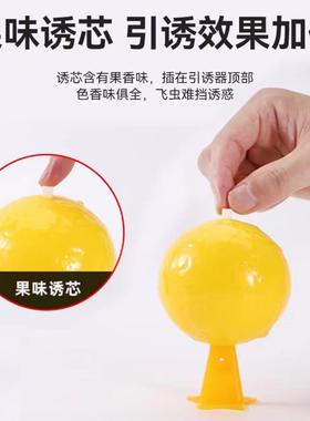 Drosophila Trap Small Flying Bug Killing Artifact Indoor