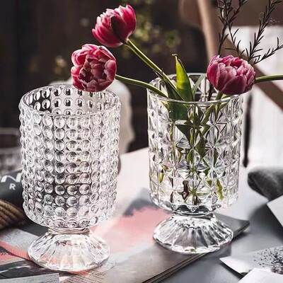 Glass Tall Vase Ornaments Living Room Water Raised Dried