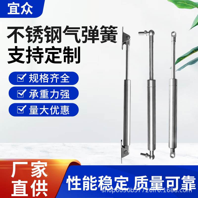 304 stainless steel hydraulic Rod support Rod gas spring