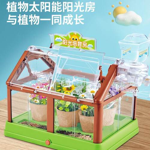 Sunshne Room Plantng Room Chldren's Plant Observaton